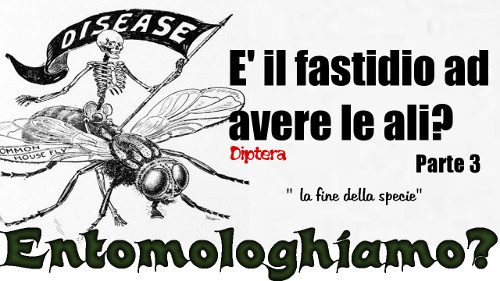 La fine della specie Diptera 3a parte